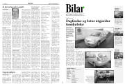 Síða 8