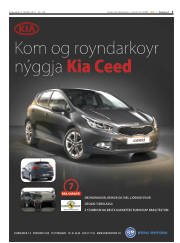 Síða 3