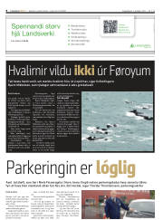 Síða 8