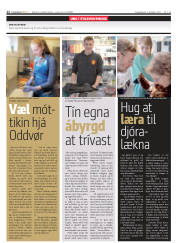 Síða 12