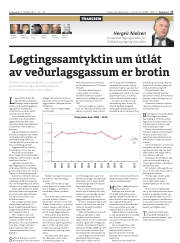 Síða 17