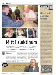 Síða 38