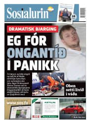 Síða 1