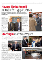 Síða 6
