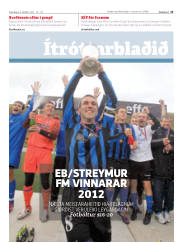 Síða 13