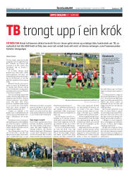 Síða 15