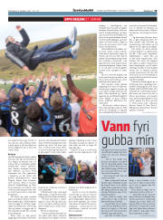 Síða 19