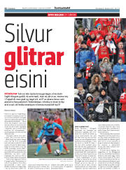 Síða 22