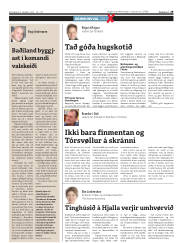 Síða 29