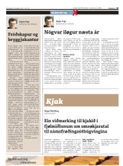 Síða 35