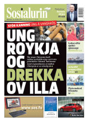 Síða 1