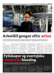 Síða 11
