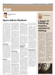 Síða 17