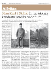 Síða 20