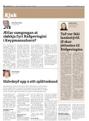 Síða 20