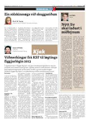 Síða 21