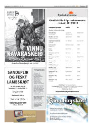 Síða 27