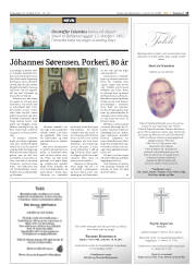 Síða 15
