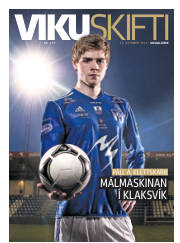 Síða 37