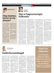 Síða 18