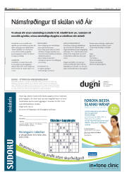 Síða 28