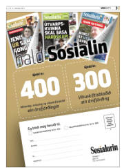 Síða 39