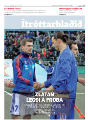 Síða 11