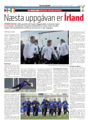 Síða 13