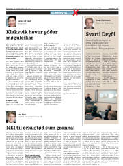Síða 25