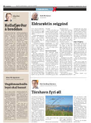 Síða 26