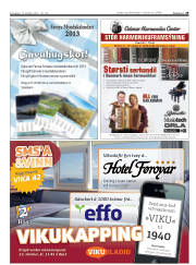 Síða 29