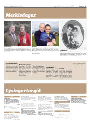 Síða 31