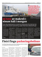 Síða 3