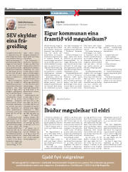 Síða 20