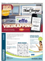 Síða 28