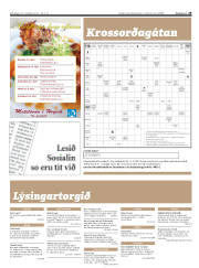 Síða 29