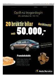 Síða 5