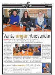 Síða 8