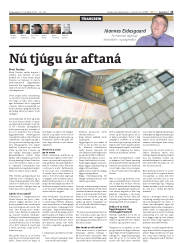 Síða 13