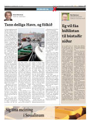 Síða 17