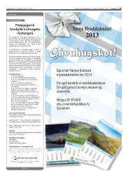 Síða 25