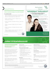 Síða 27