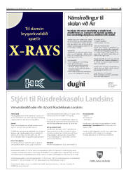 Síða 29