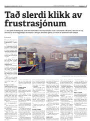 Síða 3