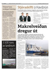 Síða 6