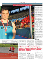 Síða 15