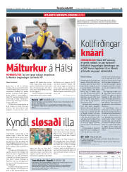 Síða 17