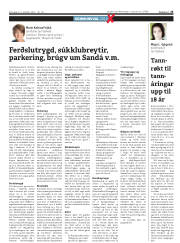 Síða 25