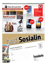 Síða 29