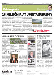 Síða 2